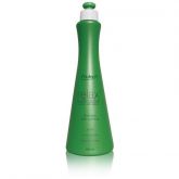 Shampoo Pós Quimica 500ml