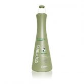 Shampoo Seal Repair Therapy Express 500ml