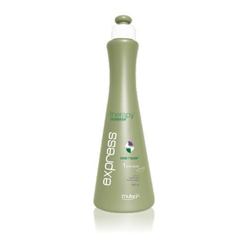 Shampoo Seal Repair Therapy Express 500ml